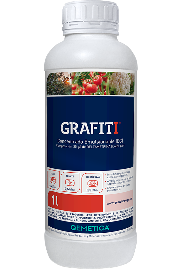 GRAFITI featured image