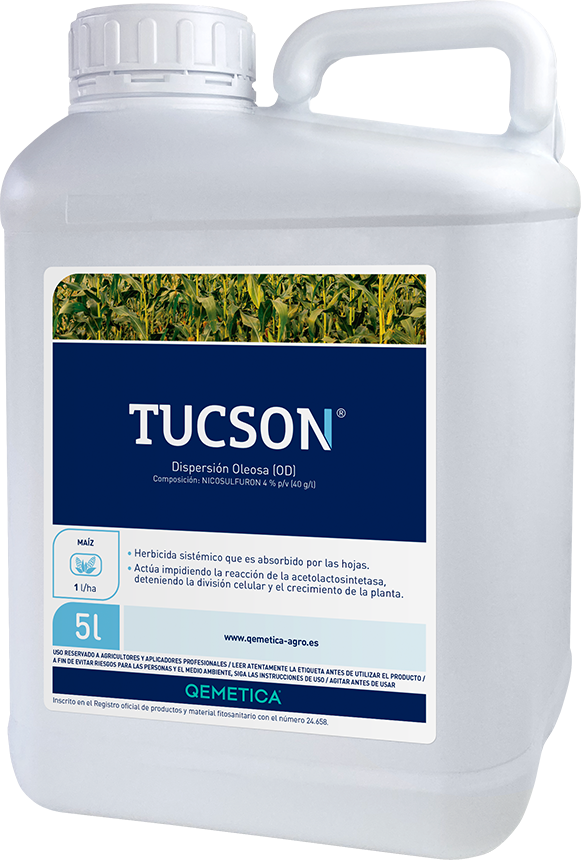 TUCSON featured image