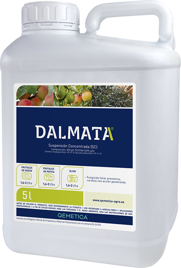 DALMATA featured image