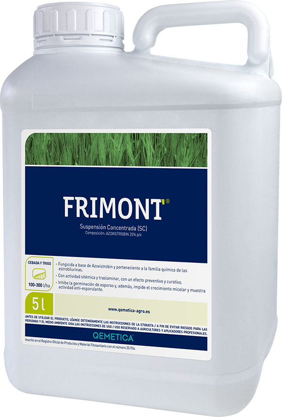 FRIMONT featured image