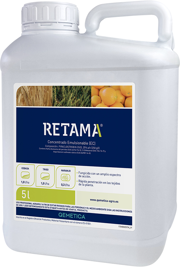 RETAMA featured image