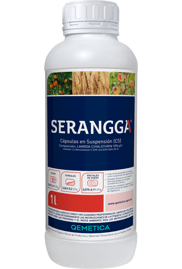 SERANGGA featured image