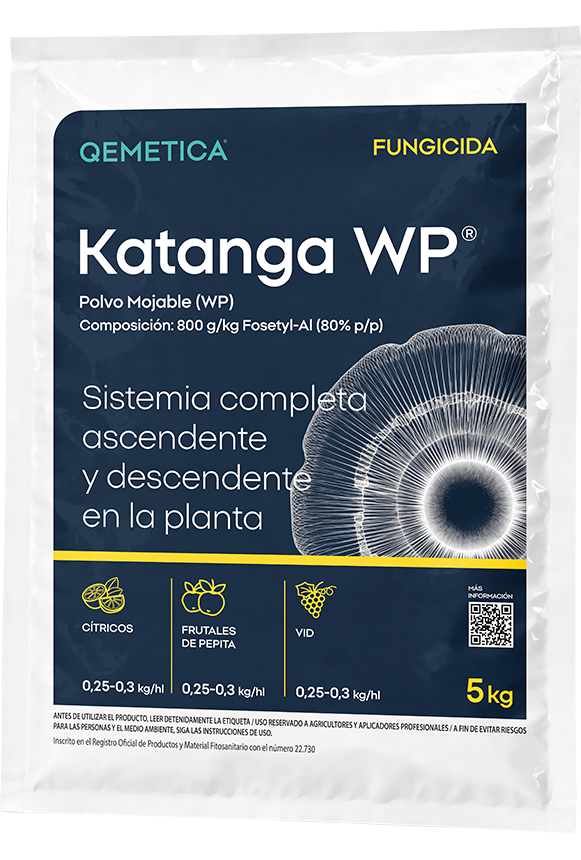 KATANGA WP featured image