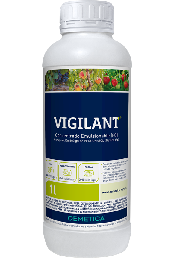 VIGILANT featured image
