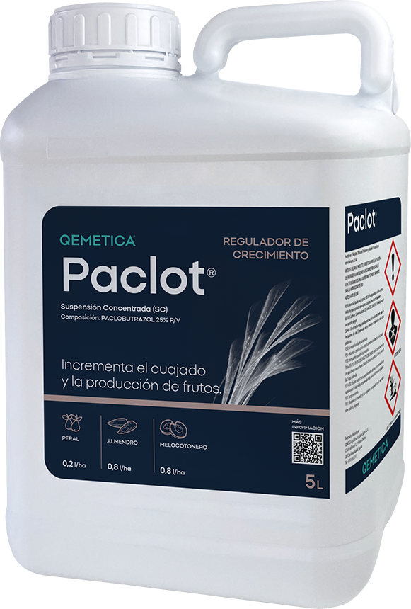 PACLOT featured image