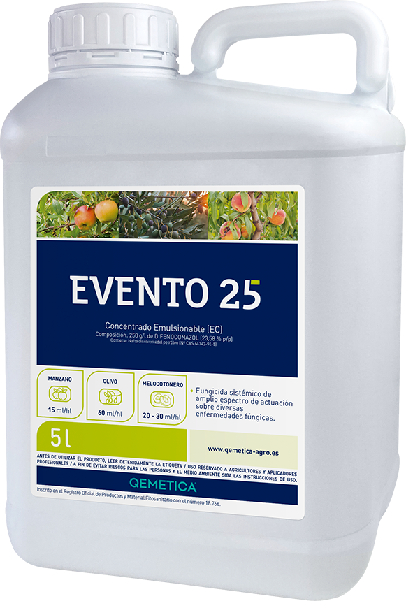 EVENTO 25 featured image