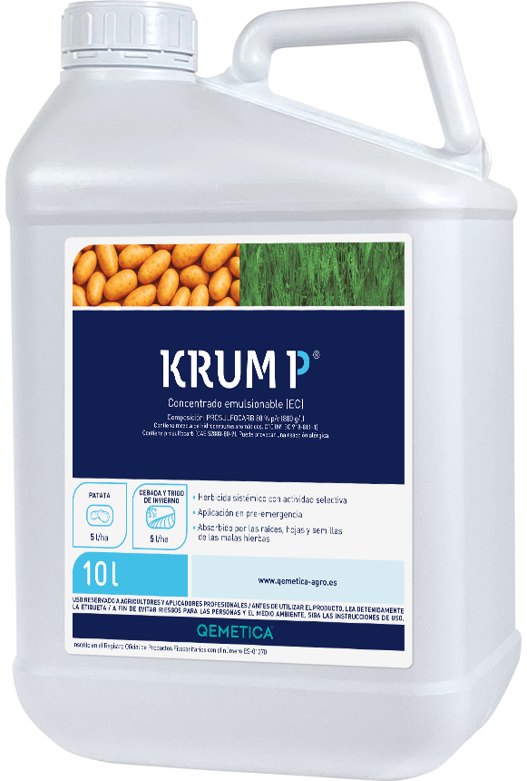 KRUM P featured image