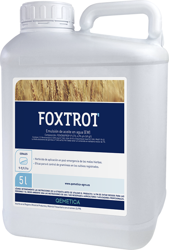FOXTROT featured image
