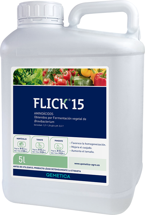 FLICK 15 featured image