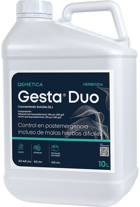 GESTA DUO featured image