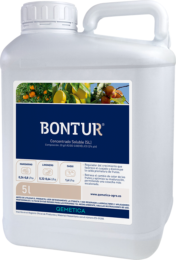 BONTUR featured image