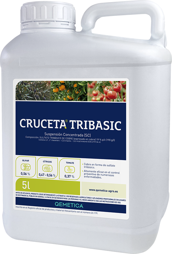 CRUCETA TRIBASIC featured image