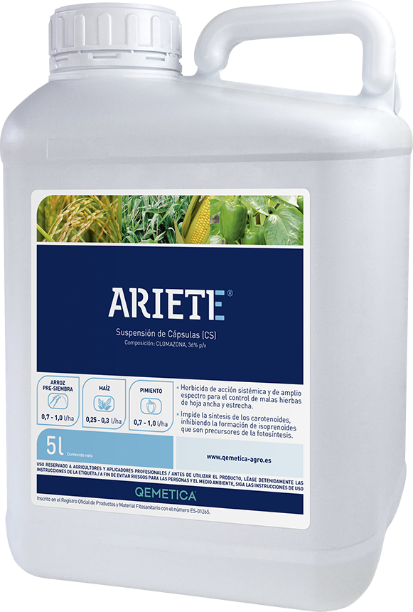 ARIETE featured image