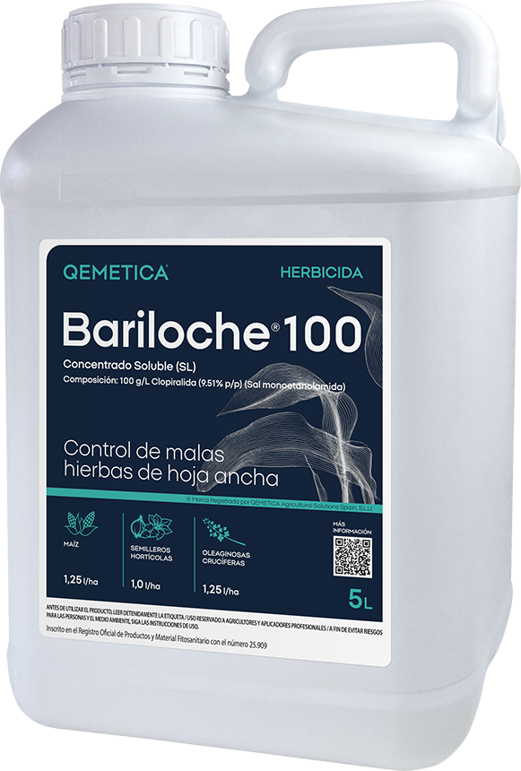 BARILOCHE 100 featured image