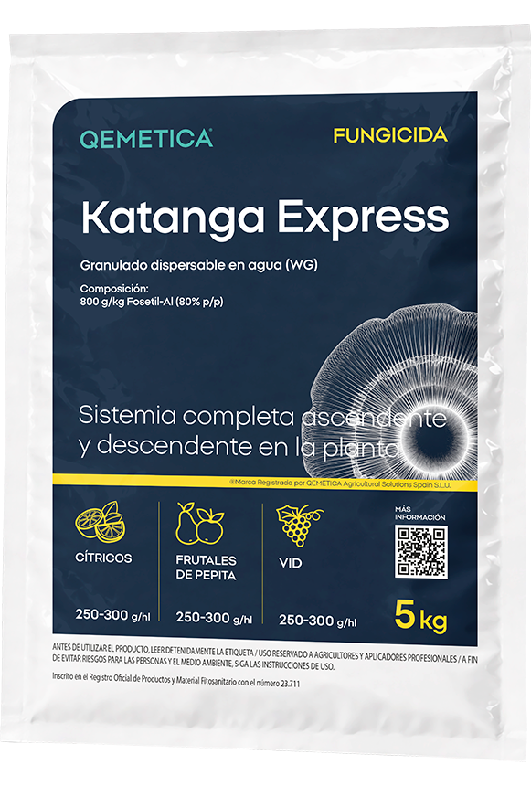 KATANGA EXPRESS featured image