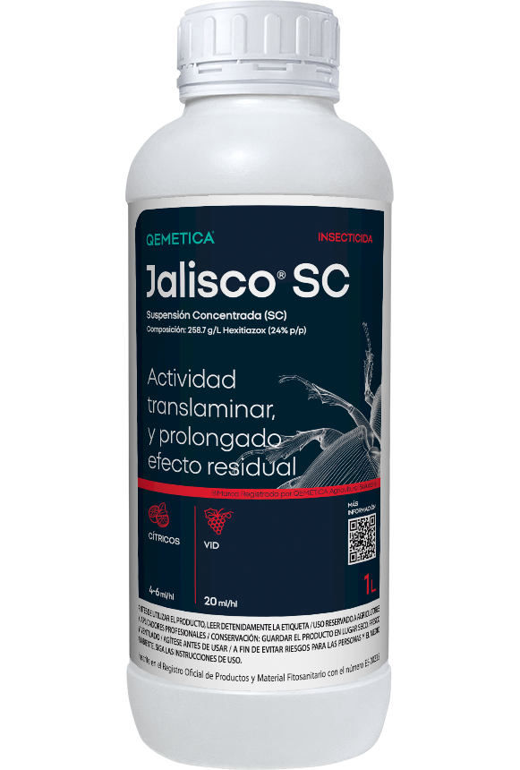 JALISCO SC featured image