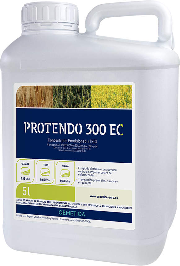 PROTENDO featured image