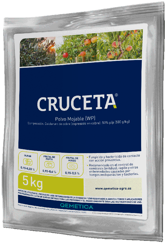 CRUCETA featured image