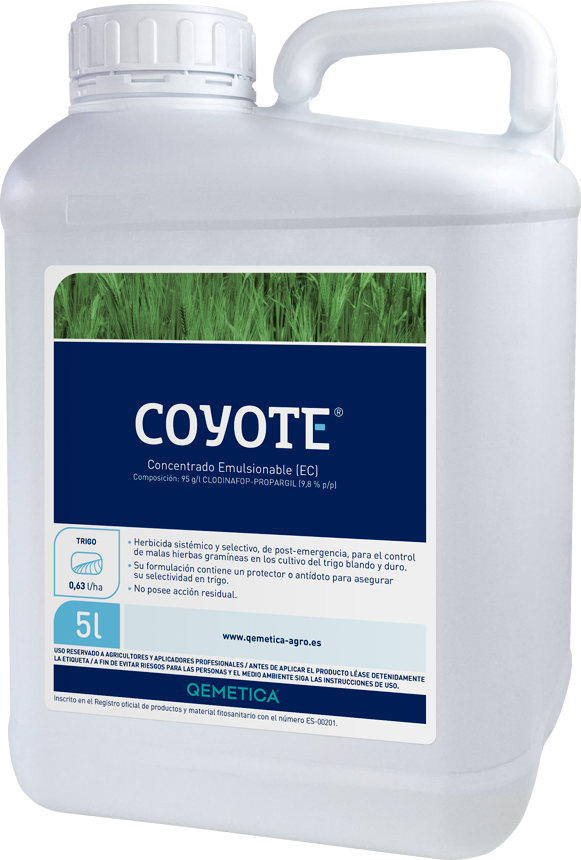 COYOTE featured image